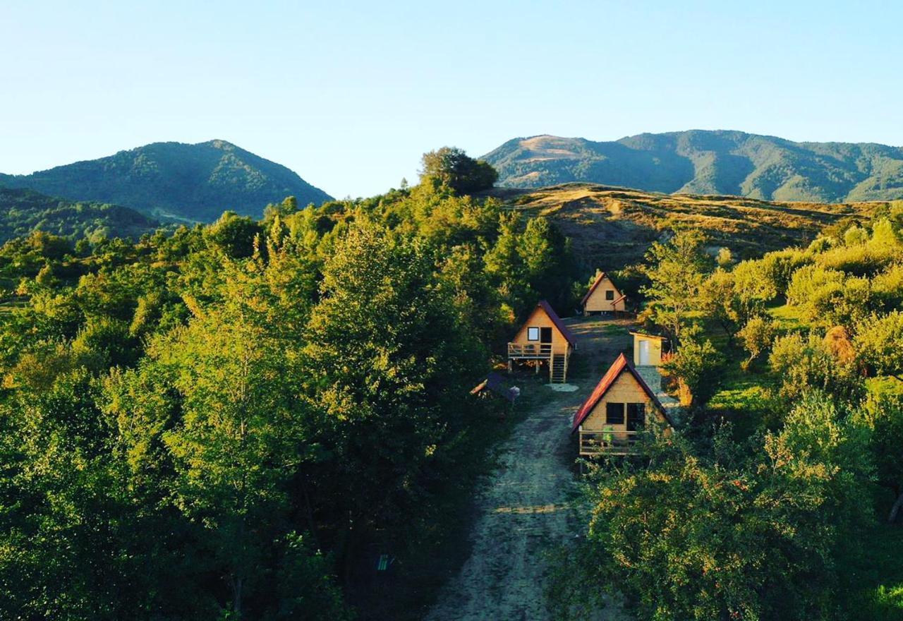 Cabanele Lu' Dinu Curtea de Argeş Exterior foto