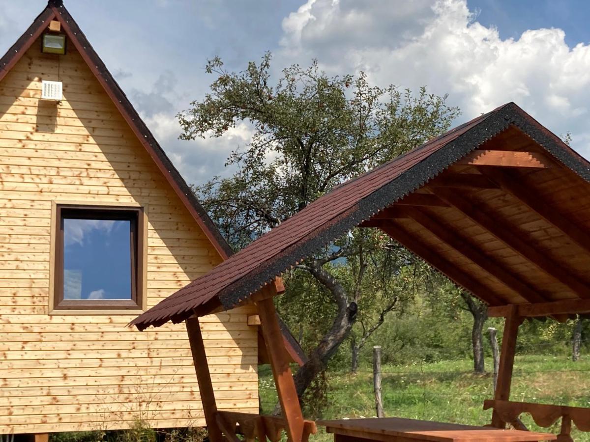 Cabanele Lu' Dinu Curtea de Argeş Exterior foto