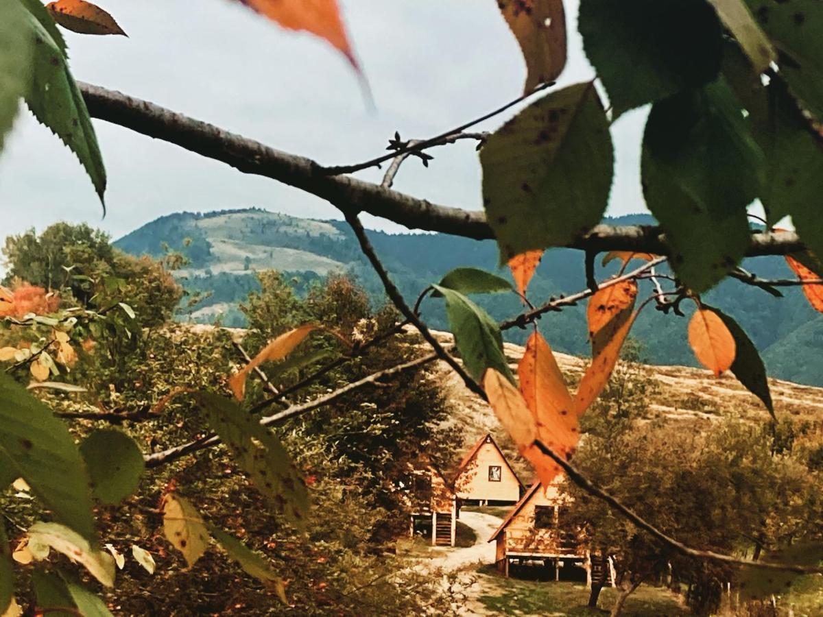 Cabanele Lu' Dinu Curtea de Argeş Exterior foto